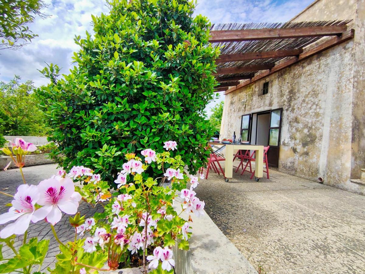 Appartement La Rudda Di Casa Camilla Journey à Specchia Extérieur photo